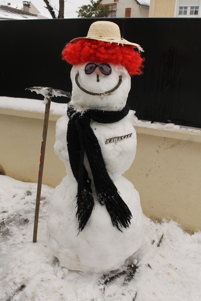 un Z-Bonhomme de neige  Bonhom10