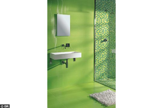 cabine de douche ou douche à carreler façon "italienne" ??? - Page 10 Mouss410