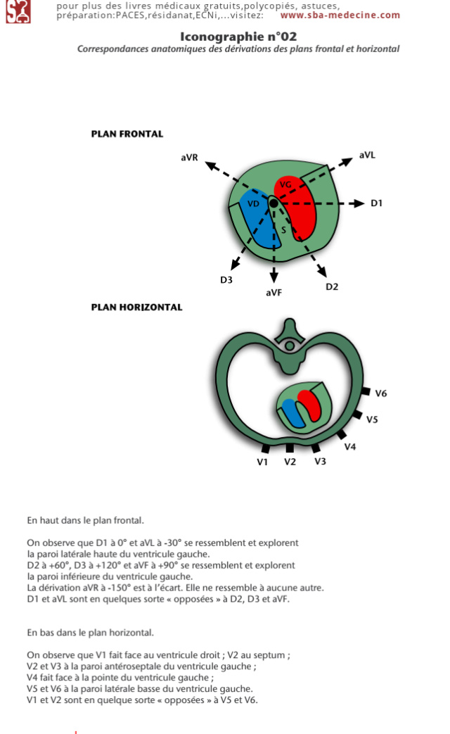 [astuce]:comment enregistrer et interpréter un ECG-NOTIONS ÉLÉMENTAIRES  Icono_13