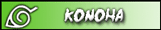 Kage de Konoha/ Le Hollow de Konoha