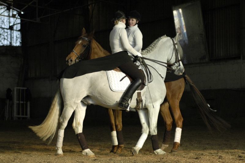 photo de vous en Dressage .. - Page 3 Clr43023