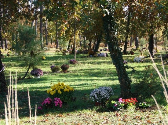 lieu ou repose nos anges Clairi11