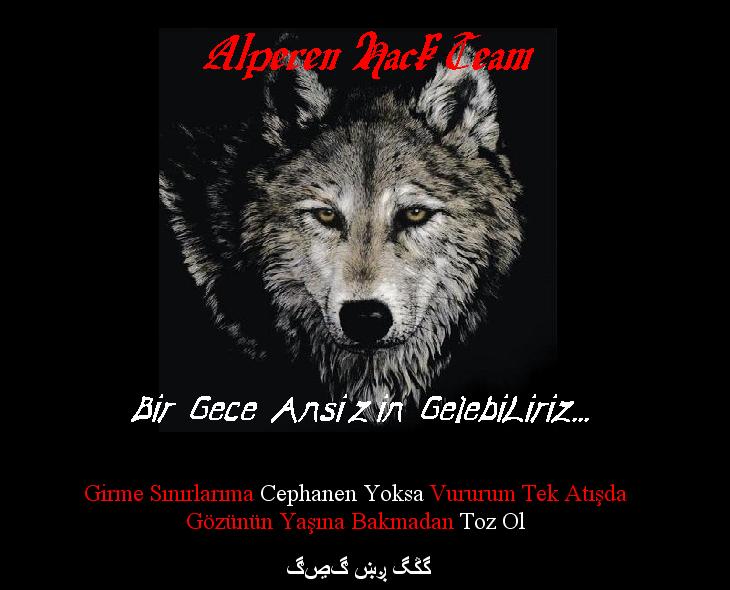 ALPEREN & İNTİKAM G46 HACK TEAM