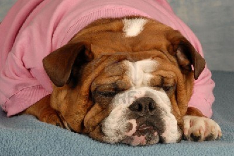 Ugly Cute? 0138