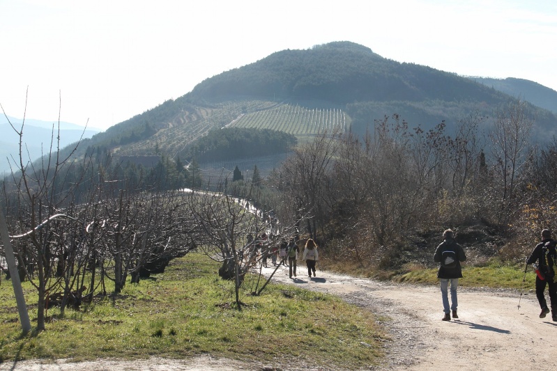 ESCURSIONE DEL 30/12/2012 da Tregnago a Campiano Img_7618