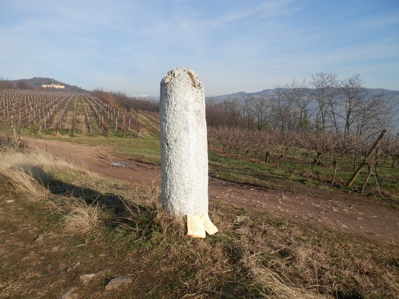 ESCURSIONE DI CAPODANNO 01/01/2013 da Montorio a Pian di Castagné ad anello P1010011