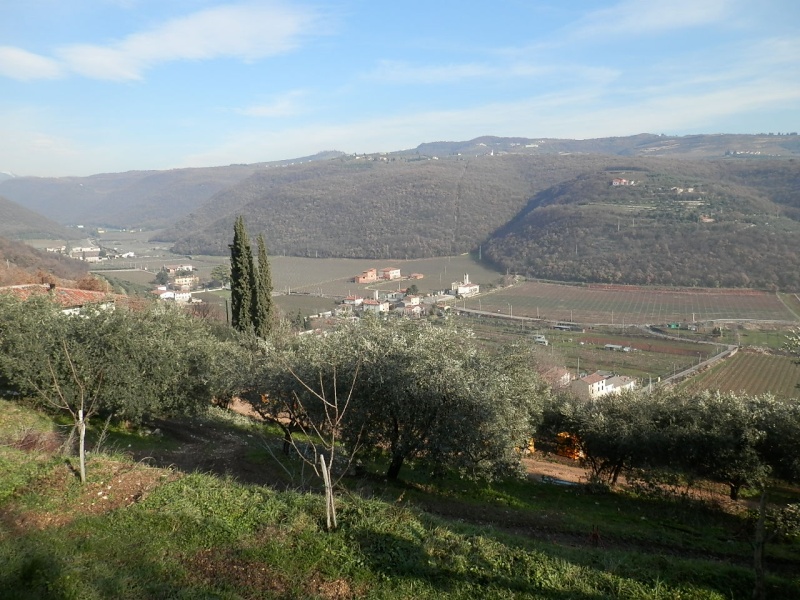 ESCURSIONE DI CAPODANNO 01/01/2013 da Montorio a Pian di Castagné ad anello P1010017