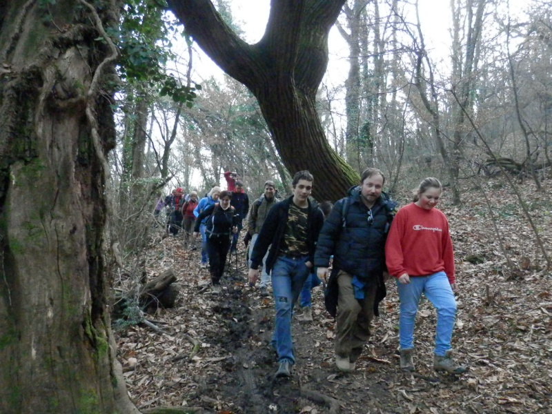 ESCURSIONE DELL'EPIFANIA 06/01/2013 da Avesa a Montecchio sulle colline veronesi P1060025