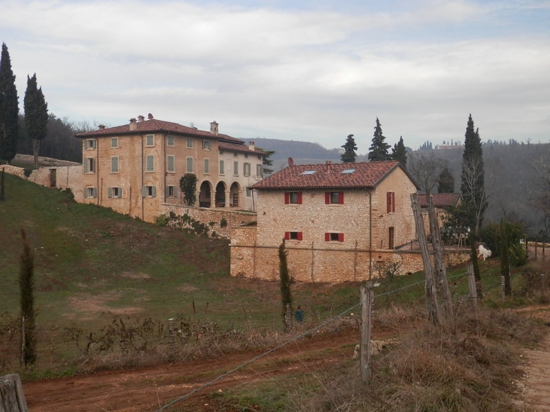 ESCURSIONE DELL'EPIFANIA 06/01/2013 da Avesa a Montecchio sulle colline veronesi P1060035