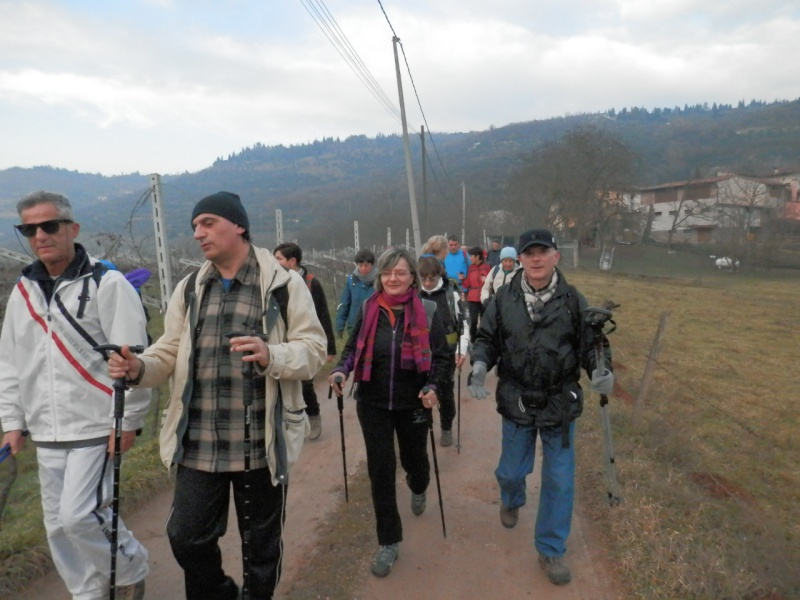 ESCURSIONE DELL'EPIFANIA 06/01/2013 da Avesa a Montecchio sulle colline veronesi P1060042