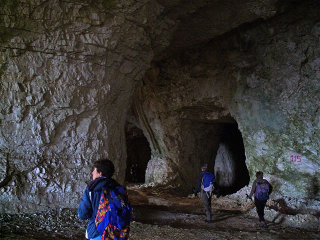 ESCURSIONE DEL 23/12/2012 da Lugo al Ponte di Veja e visita a grotta preistorica P1310916
