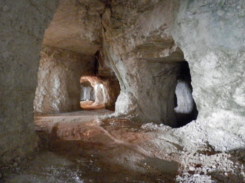 ESCURSIONE DEL 23/12/2012 da Lugo al Ponte di Veja e visita a grotta preistorica Pc230016