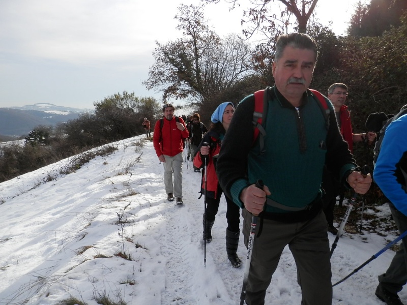 ESCURSIONE DEL 23/12/2012 da Lugo al Ponte di Veja e visita a grotta preistorica Pc230027