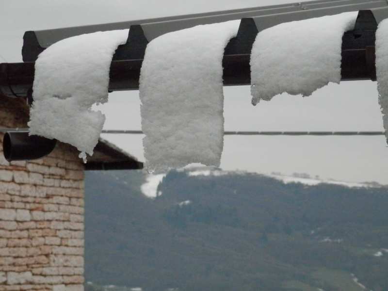 ESCURSIONE DEL 23/12/2012 da Lugo al Ponte di Veja e visita a grotta preistorica Pc230039