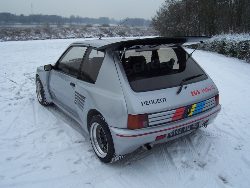 205 gti 1.9 dimma 100_8112