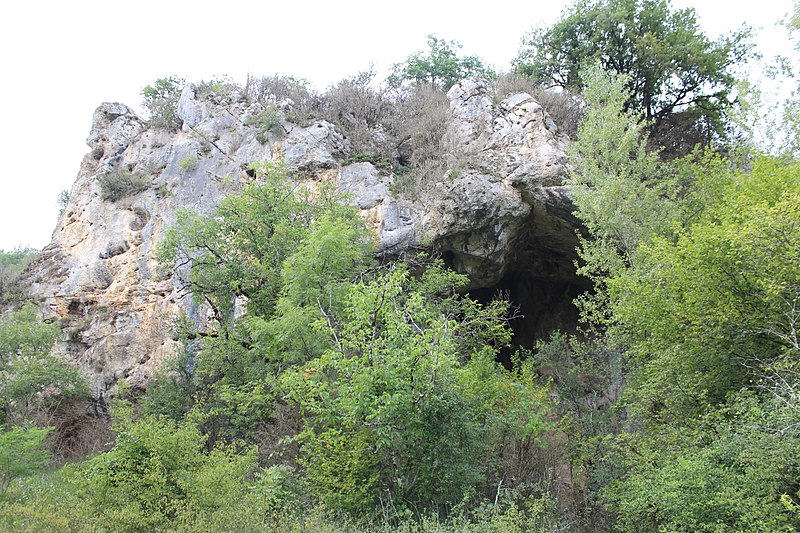 Galets et os gravés magdaléniens de la grotte de la Colombière (Neuville sur Ain / Poncin) 25346612