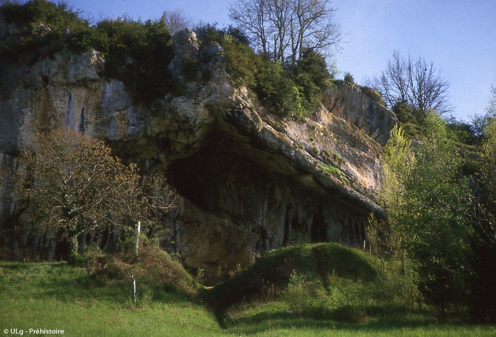 Galets et os gravés magdaléniens de la grotte de la Colombière (Neuville sur Ain / Poncin) 32531511