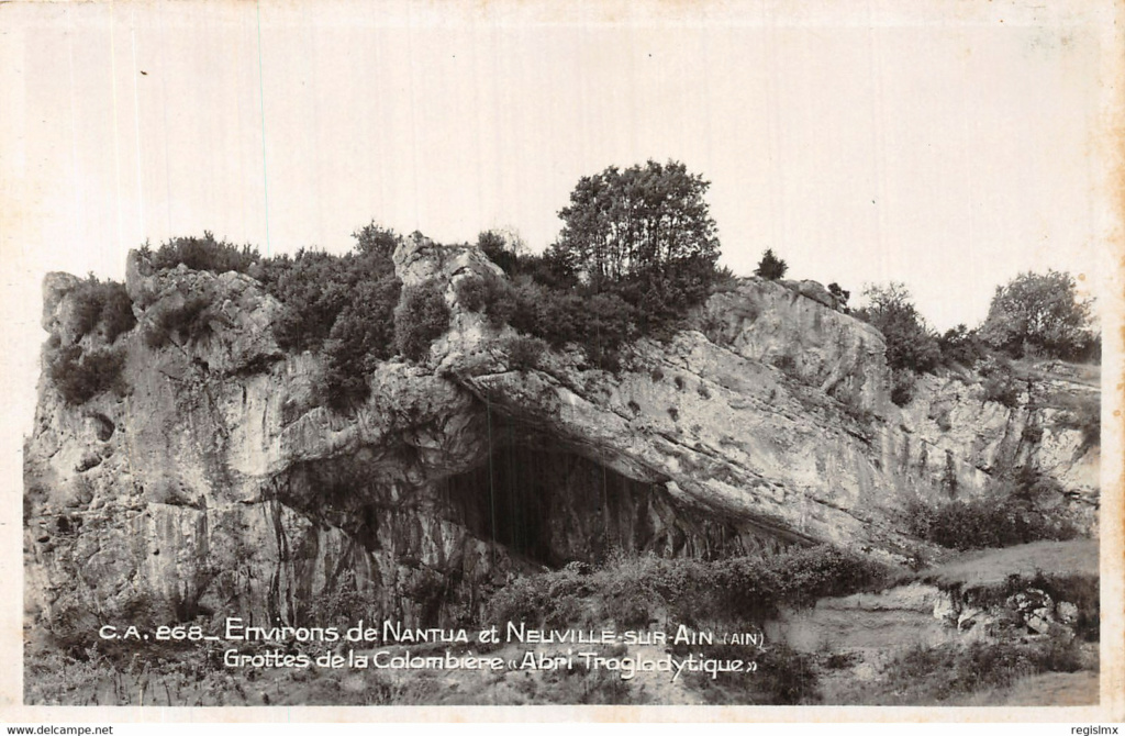 Galets et os gravés magdaléniens de la grotte de la Colombière (Neuville sur Ain / Poncin) 623_0010