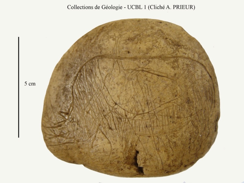 Galets et os gravés magdaléniens de la grotte de la Colombière (Neuville sur Ain / Poncin) A_gale10