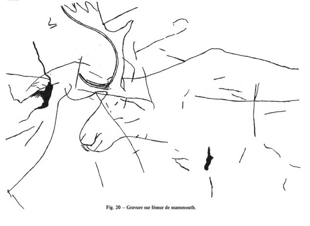 Galets et os gravés magdaléniens de la grotte de la Colombière (Neuville sur Ain / Poncin) Captur43