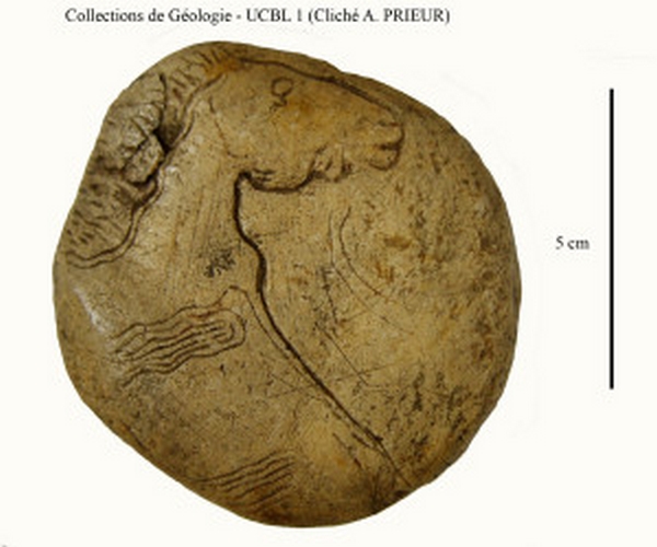 Galets et os gravés magdaléniens de la grotte de la Colombière (Neuville sur Ain / Poncin) Galets12