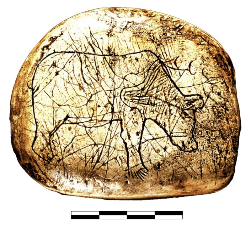 Galets et os gravés magdaléniens de la grotte de la Colombière (Neuville sur Ain / Poncin) Galets13