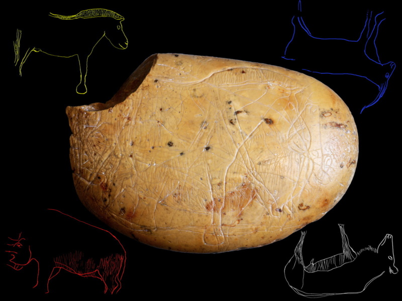 Galets et os gravés magdaléniens de la grotte de la Colombière (Neuville sur Ain / Poncin) Galets15