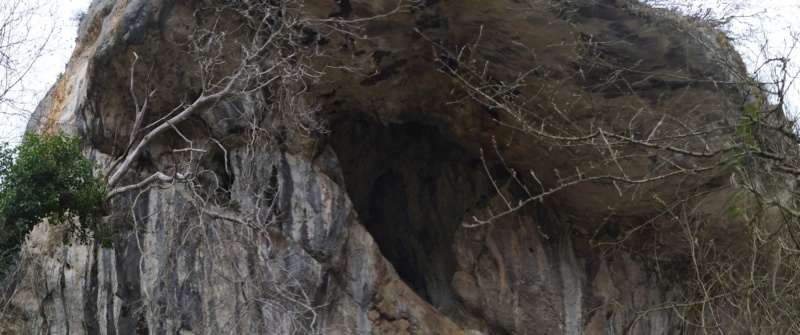 Galets et os gravés magdaléniens de la grotte de la Colombière (Neuville sur Ain / Poncin) Pano_210