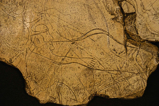 Galets et os gravés magdaléniens de la grotte de la Colombière (Neuville sur Ain / Poncin) Unname10