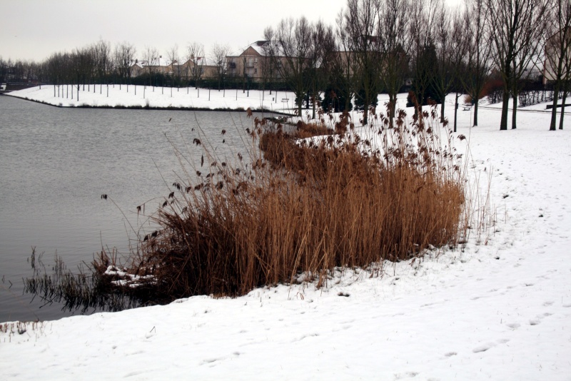 L'hiver est là! (vos photos) 20130127