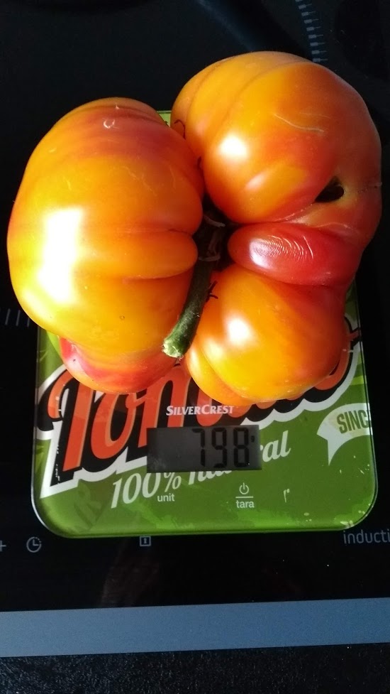 Tomates. Ananas10