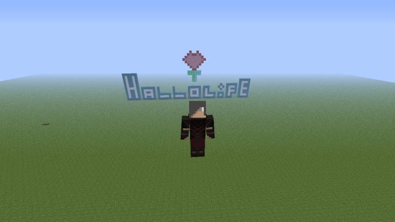 Habbolife on Minecraft 2012-110