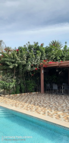  [Maroc Camp/Dernières nouvelles] Nouveau grand Camping de Taroudant 20191223