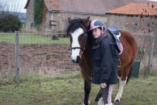 voila la decision est prise...on cherche un poney! Unikat10