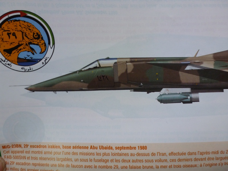 [Academy-Hasegawa] Mig 23 BN Irak 01213