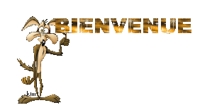 Présentation xlr8r Bienve12