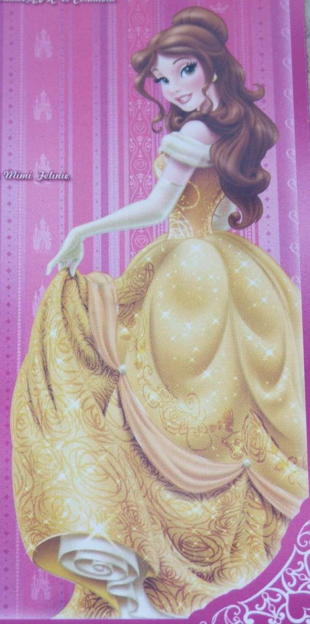 Un nouveau look pour les Princesses Disney - Page 26 P1190617