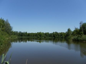 French Carp Lakes For Sale - €300,000 Approx £250,000 Sterling equivalent) Main_l10