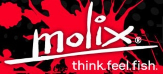 Report Contest MOLIX Eging Logo_m10