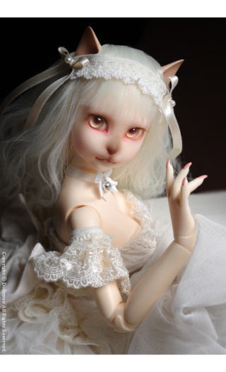 Шарнирные куклы (bjd) 08203911