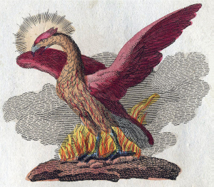 Le Phénix (Oiseau de feu) 800px-10
