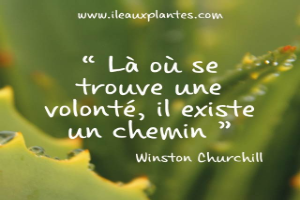 citation du jour en image  - Page 4 Imageo18