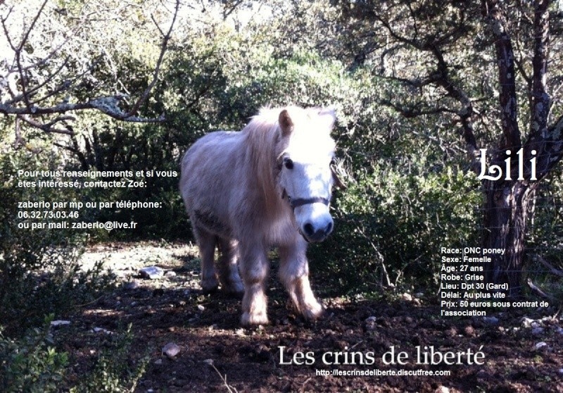 Dpt 30 - Lili - Ponette type shetland de 27 ans - S'est endormie... - Page 10 Lili1010