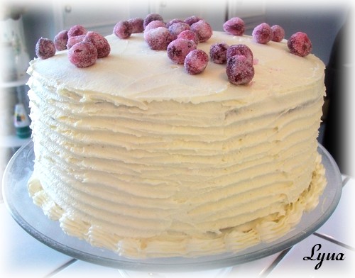 Gâteau 'Neige' aux canneberges, glaçage chocolat blanc Gaetau10