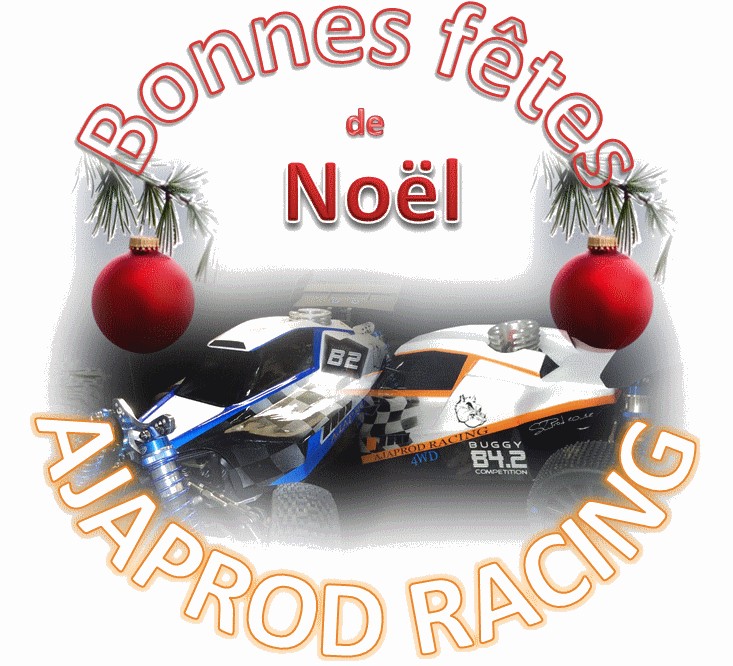 Joyeuses Fêtes Noel_t11