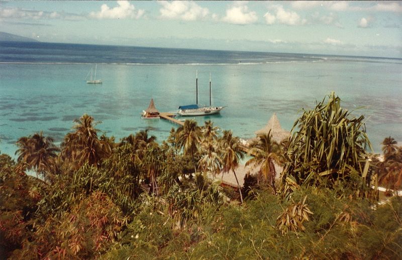 photos de Polynésie  - Page 2 3_copi10