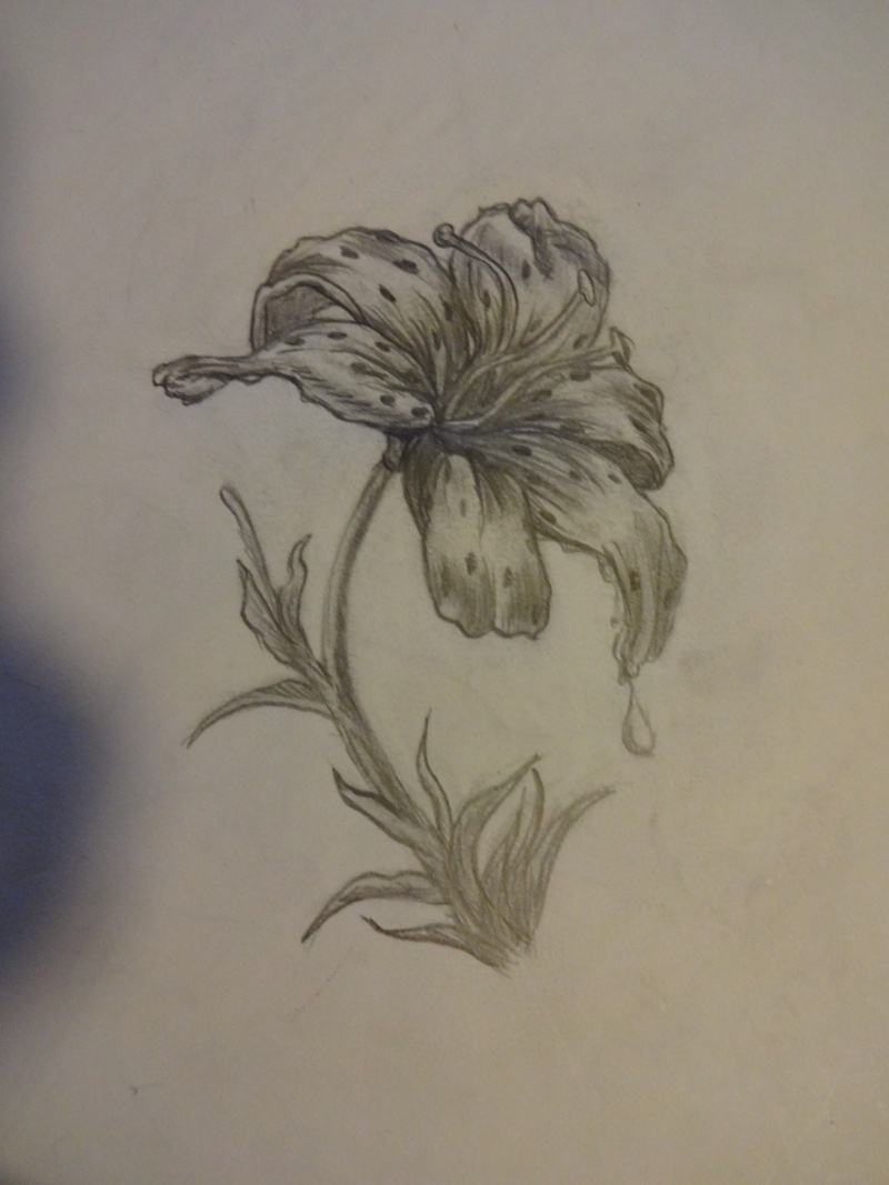 Dessin d'une Fleur Dsc00311