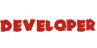 Developer Developer
