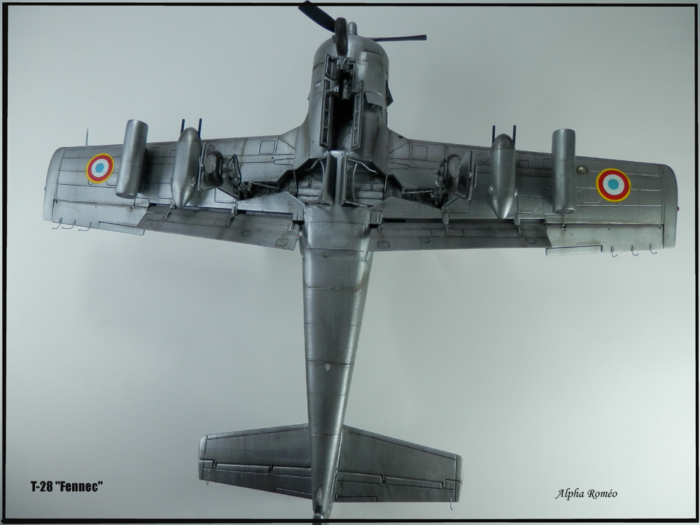 [Roden] 1/48 - North American T-28 "Fennec" P1270716