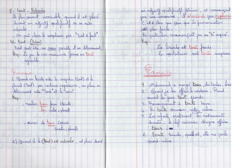 Cours (1er Semestre) .....  ( Cahier Scanné) P_210